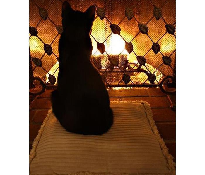 cat sitting on pillow, fireplace